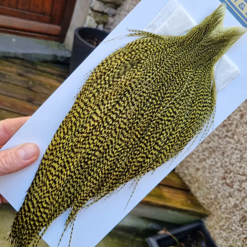 Whiting High and Dry Rooster Cape in Grizzly in Olive-6